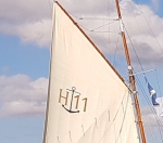 Numéro de voile